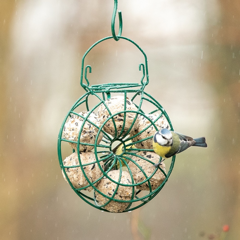 Fat Ball Bird Feeding Ring