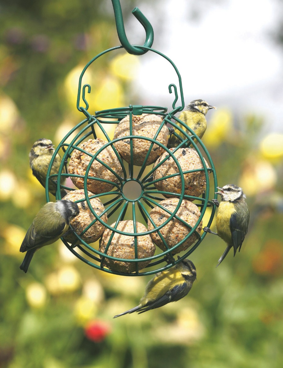 Fat Ball Bird Feeding Ring