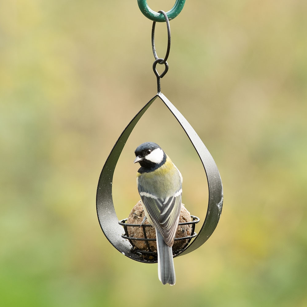 Canberra Fat Ball Bird Feeder (Black)