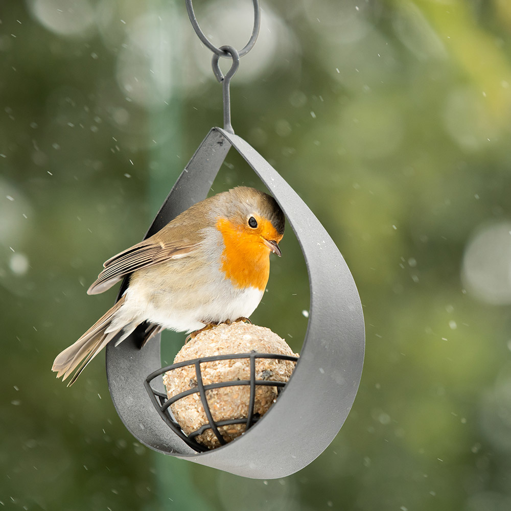 Canberra Fat Ball Bird Feeder