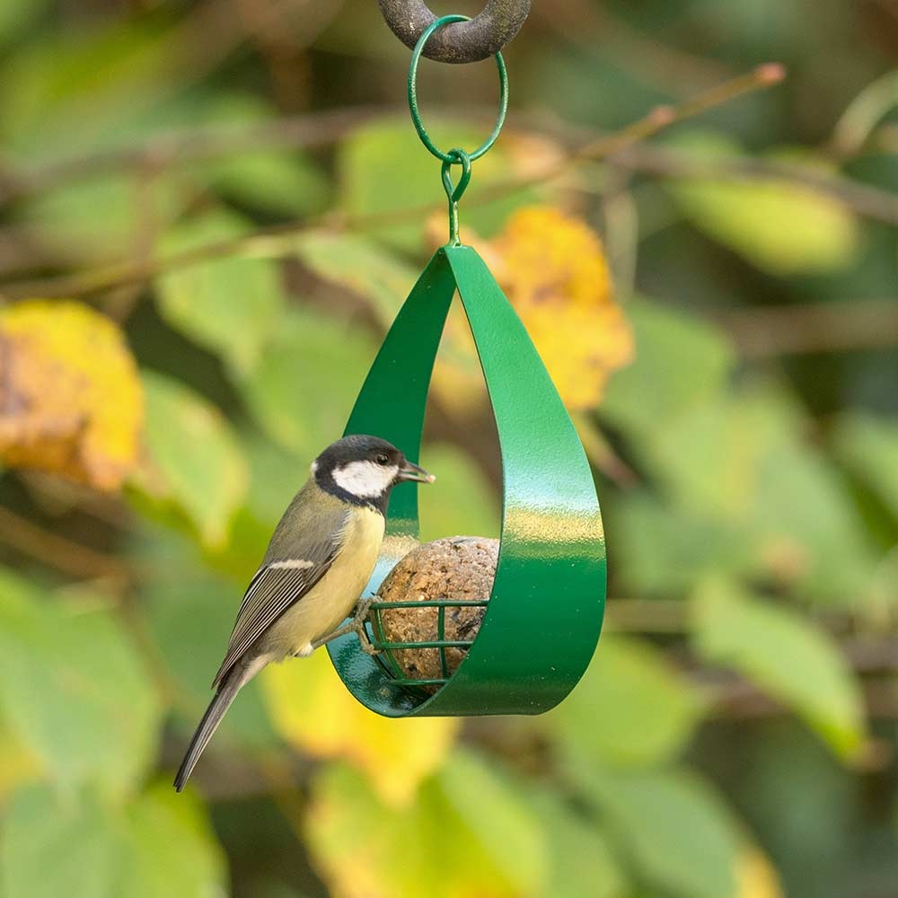 Canberra Fat Ball Bird Feeder (Green)