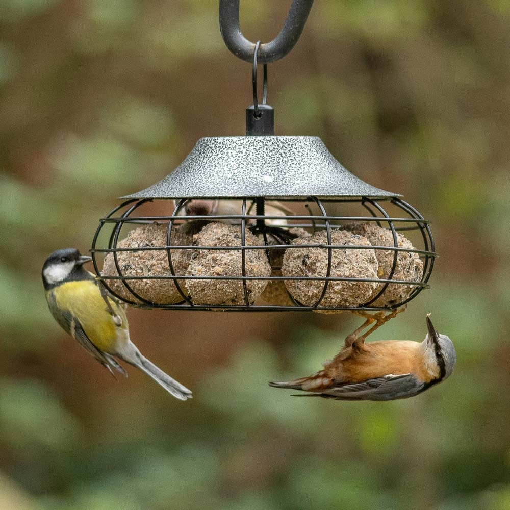 Fremantle Fat Ball Bird Feeder