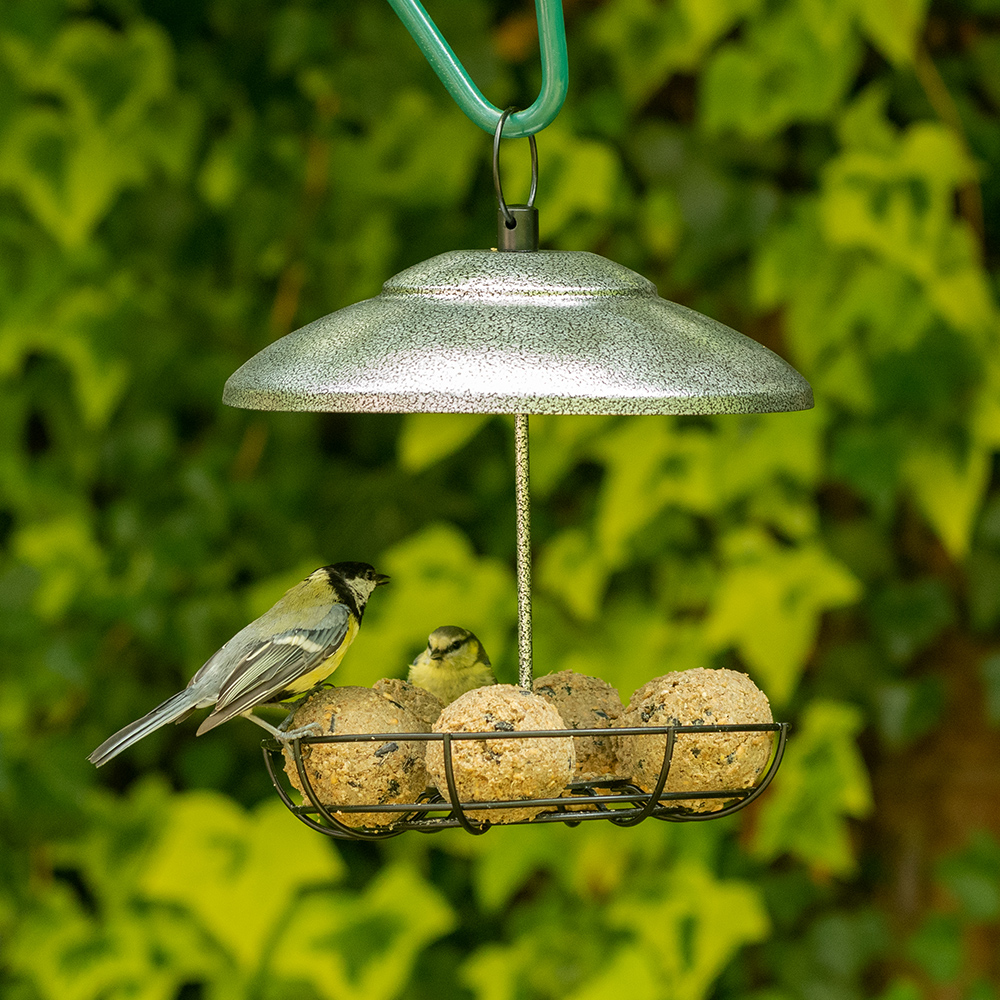 Bunbury Fat Ball Bird Feeder 