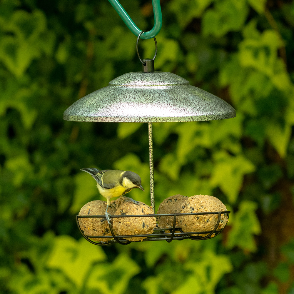 Bunbury Fat Ball Bird Feeder 