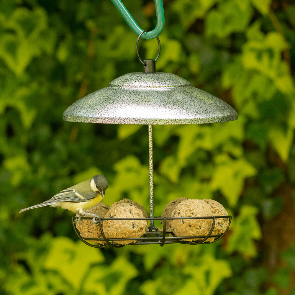 Bunbury Fat Ball Bird Feeder 