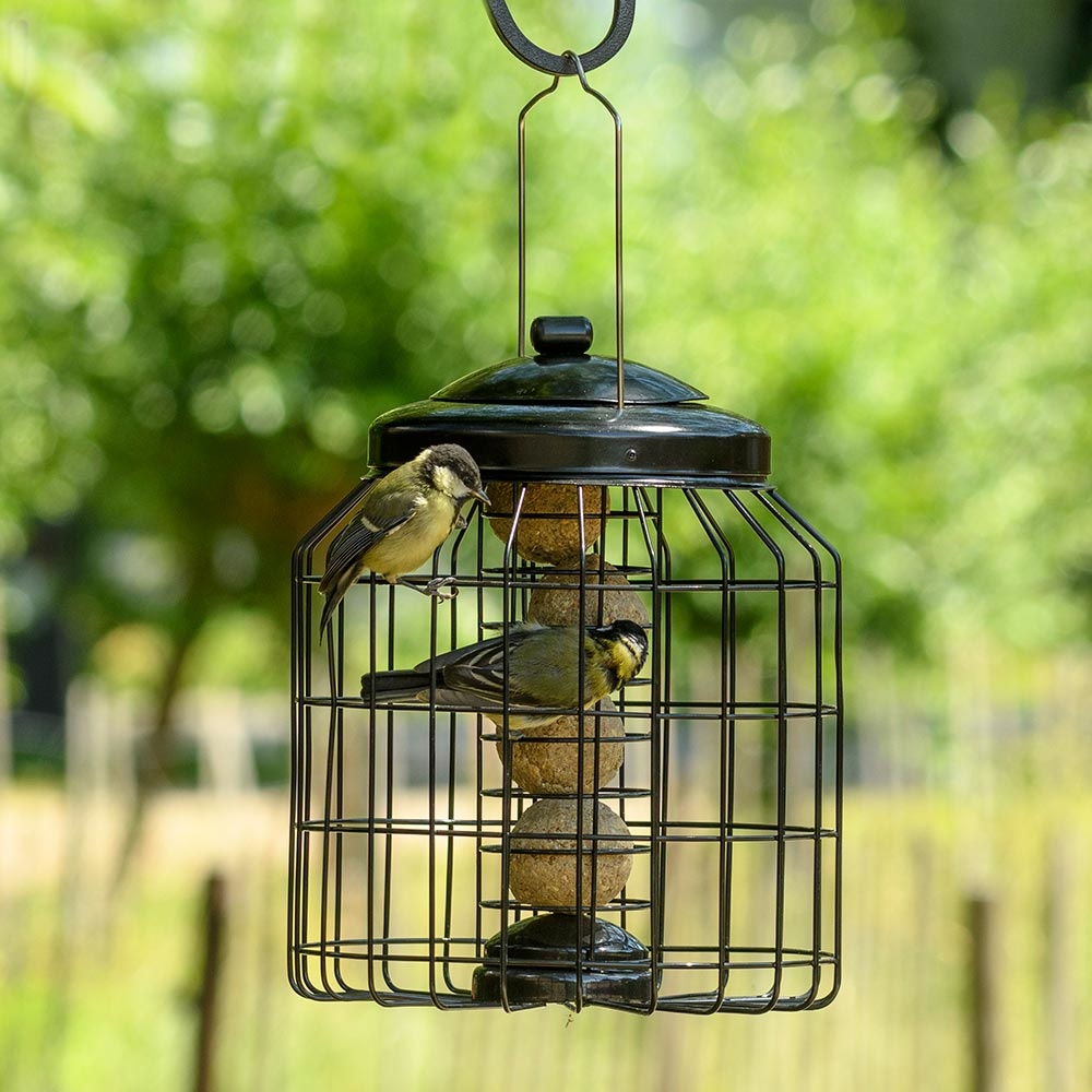 Schutz-Meisenknödelhalter für kleine Vögel „Brüssel“