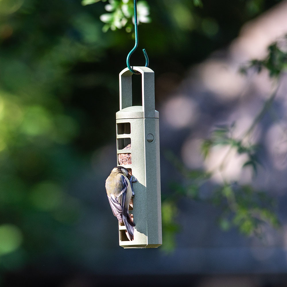 Meisenknödel-Halter aus recycelten PET-Flaschen