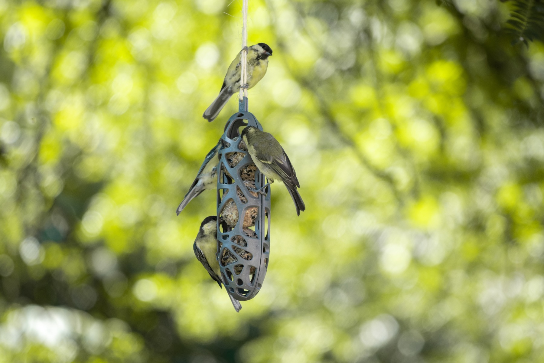 Fat Holder Sam Bird Feeder - 100% Recycled