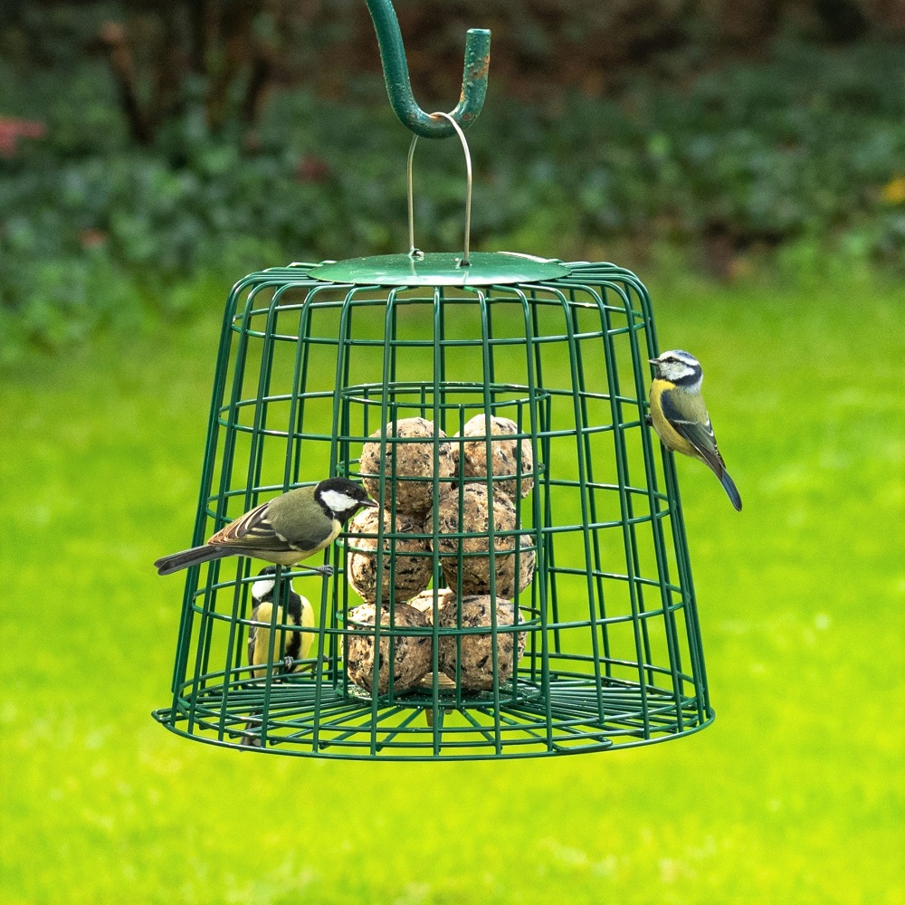 Fat Ball & Peanut Cake Guardian Bird Feeder