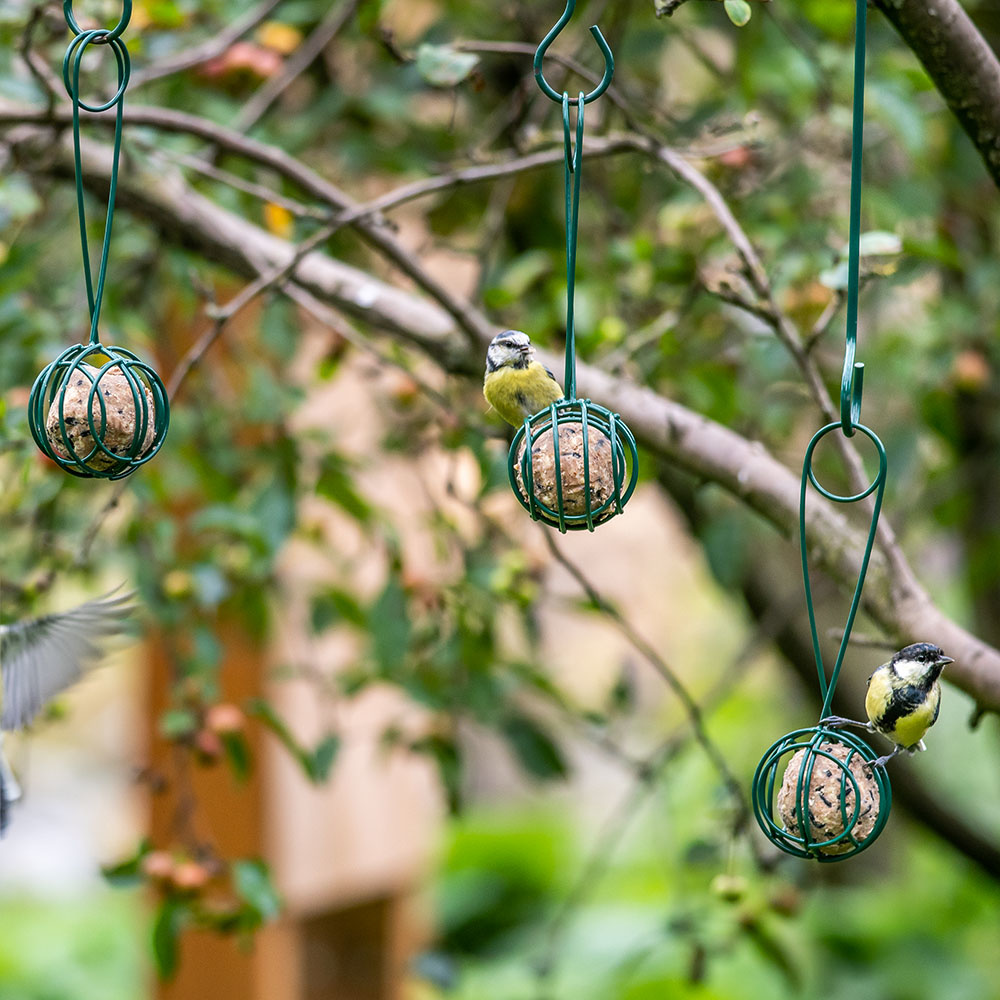 Pince pour boules de graisse Lima