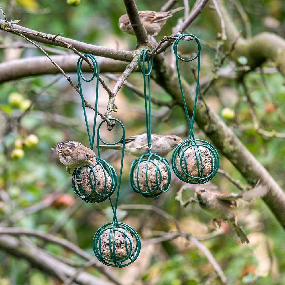 2-in-1 Meisenknödel-Halter und -Greifer „Lima“