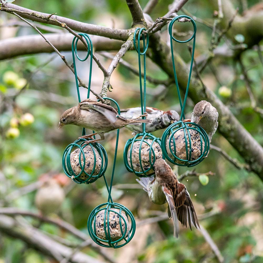 Pince pour boules de graisse Lima