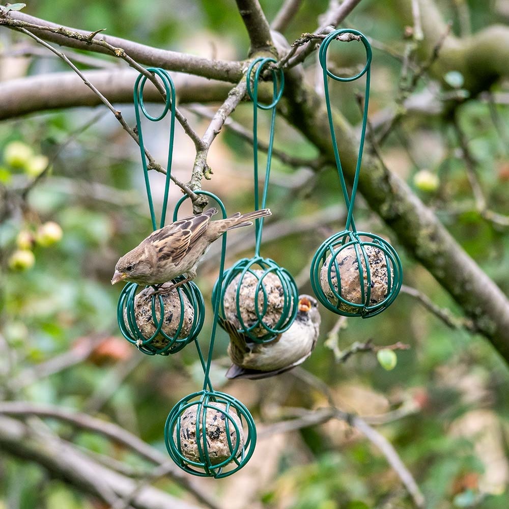 Pince pour boules de graisse Lima