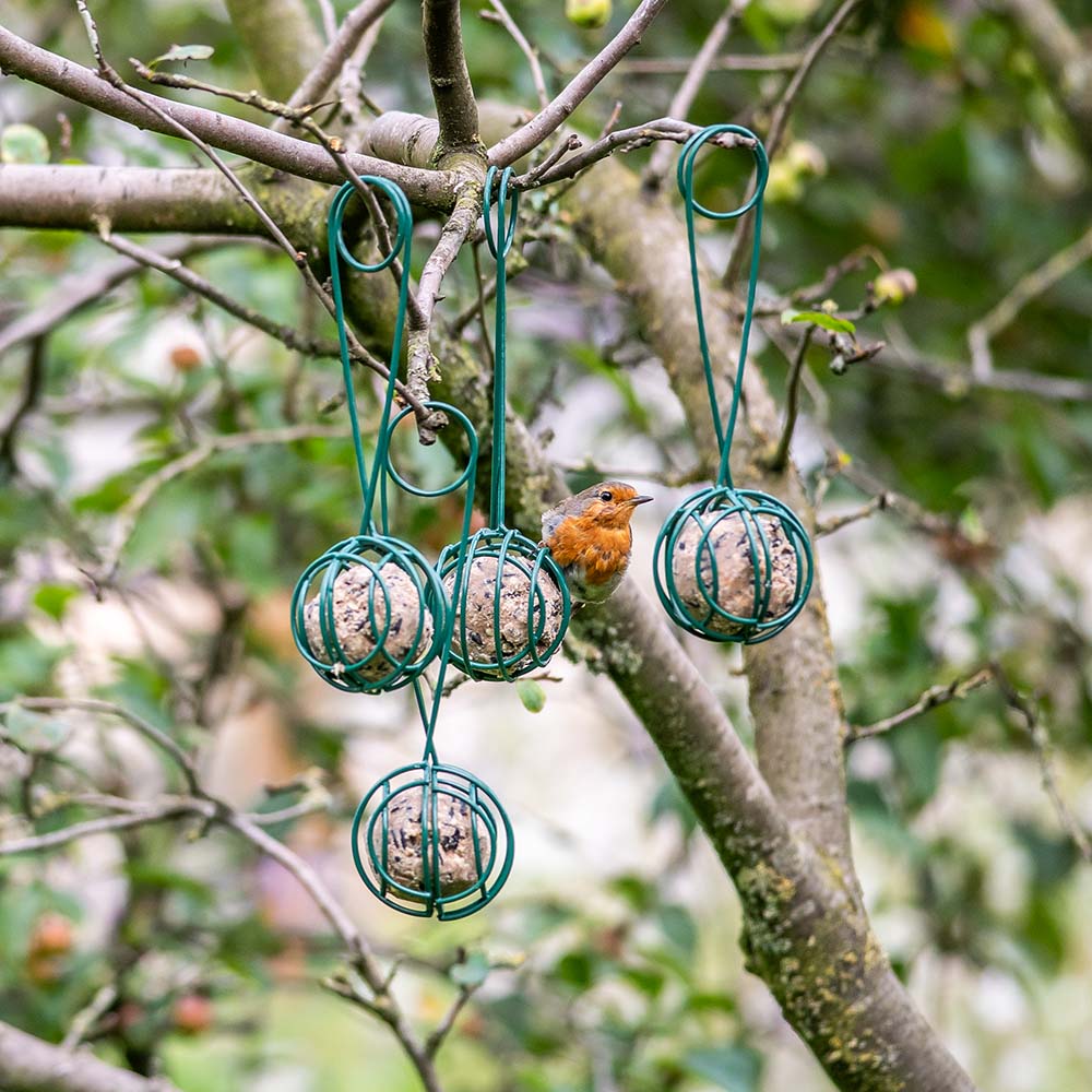 Pince pour boules de graisse Lima