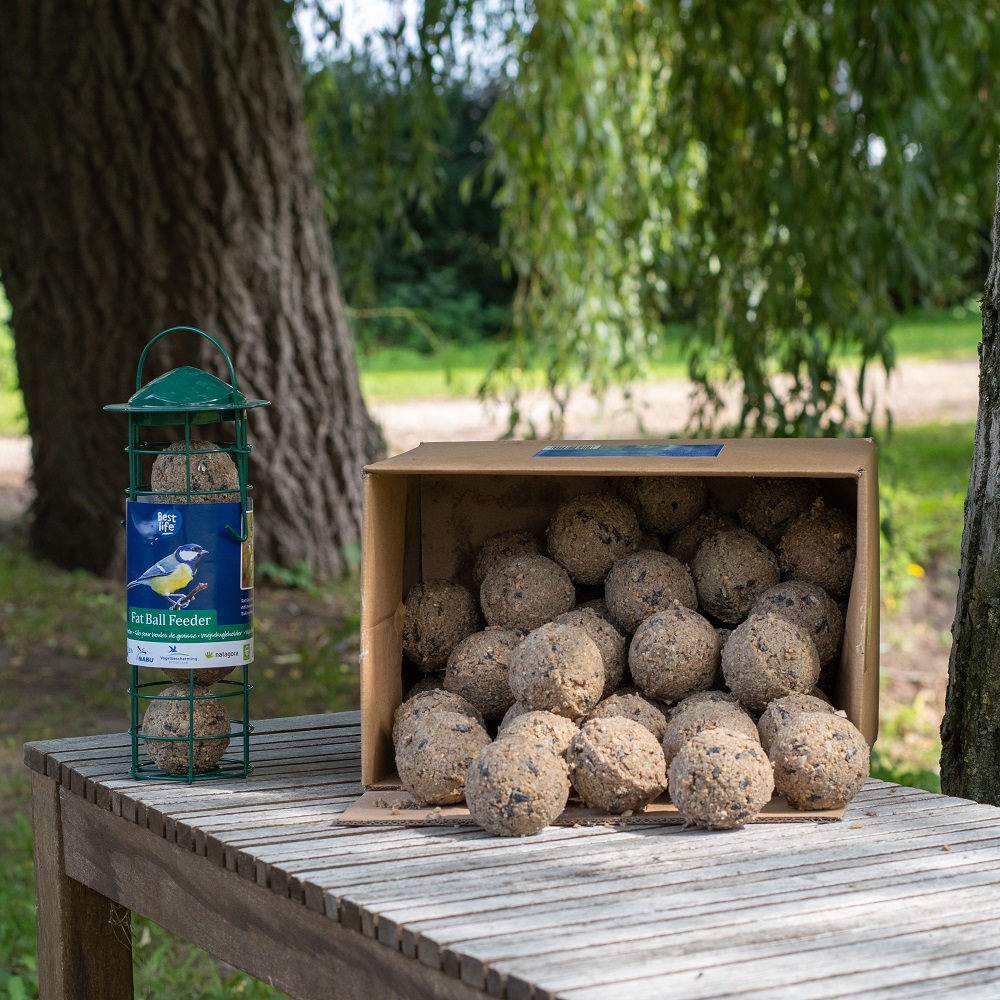 Bundle with 50 Fat Balls & Feeder Starter Bundle