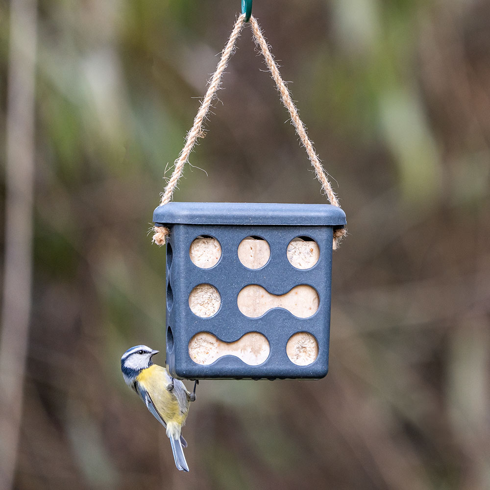 Rome Fat Square Feeder - Anthracite