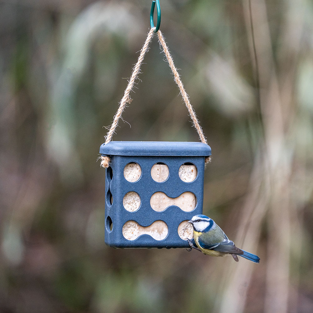 Rome Fat Square Feeder - Anthracite