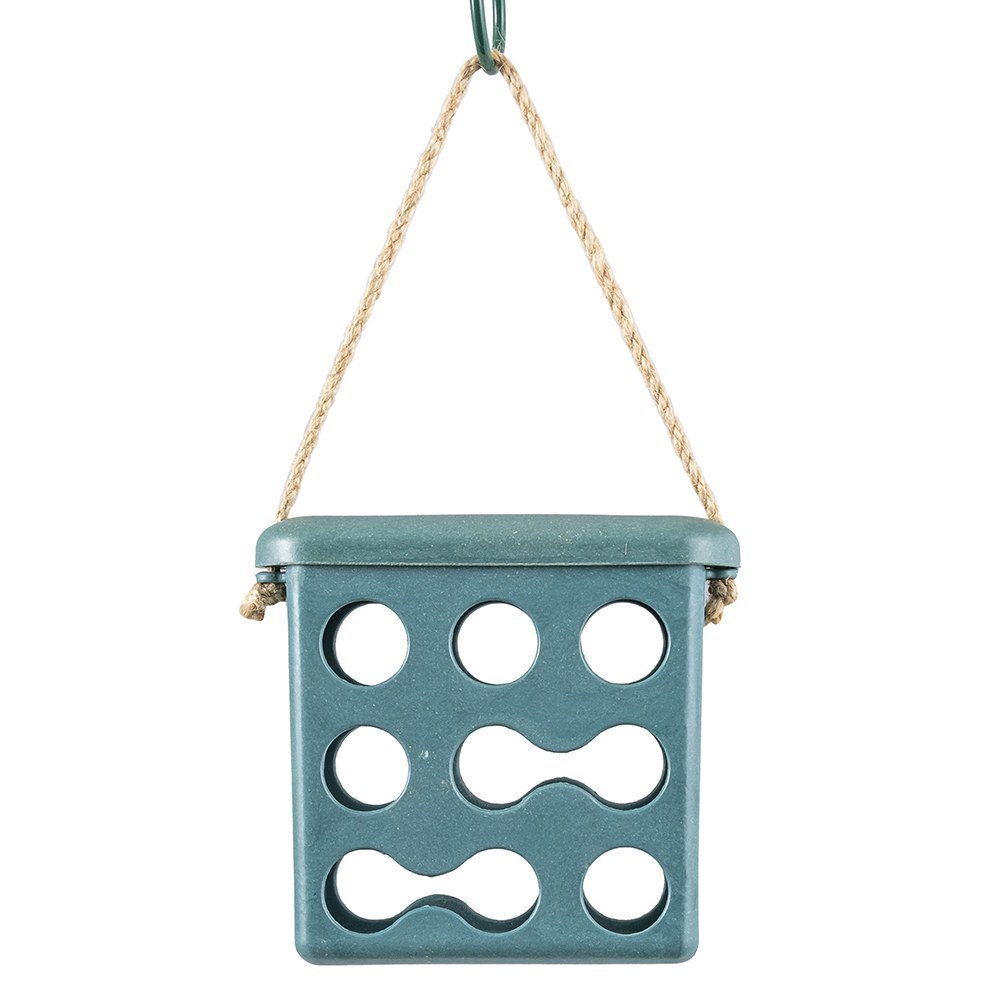 Rome Fat Square Feeder - Blue