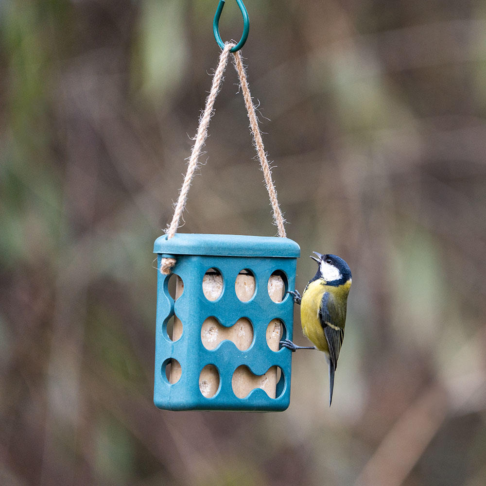 Rome Fat Square Feeder - Blue