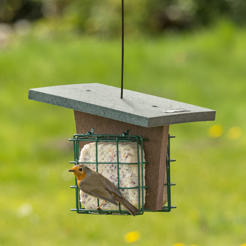 Monviso Recycled Peanut Cake Square Bird Feeder