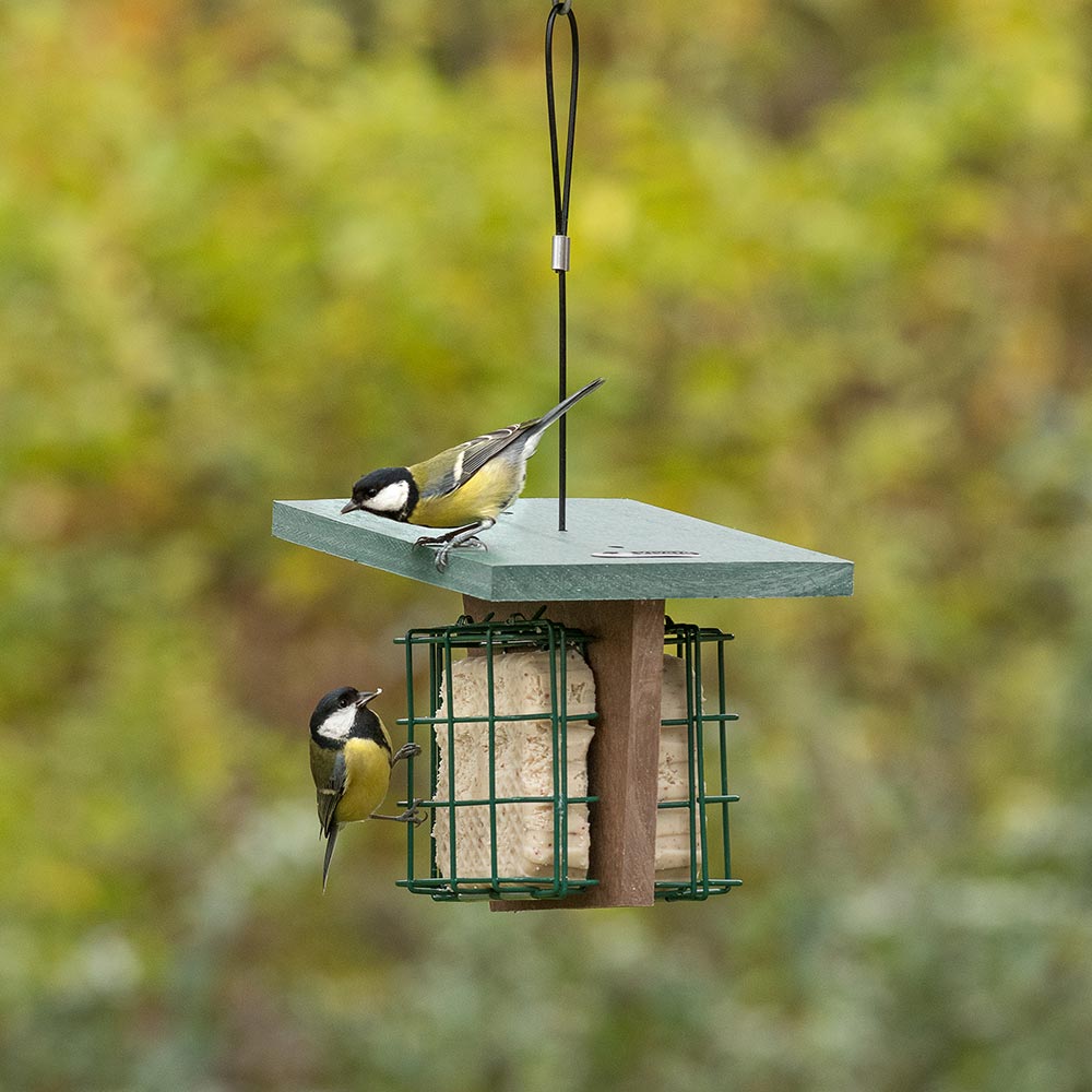 Monviso Recycled Peanut Cake Square Bird Feeder