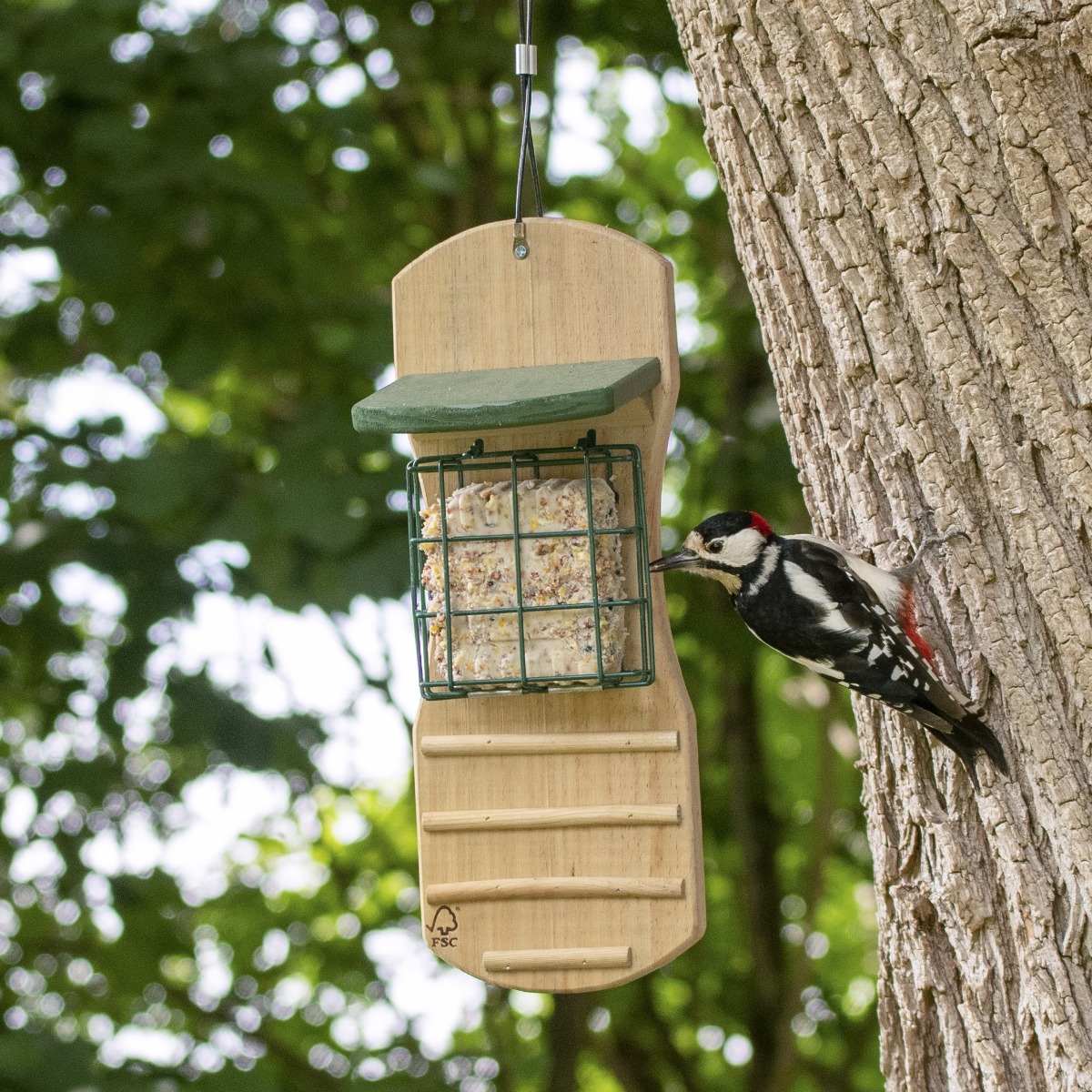 Woodpecker Bistro Peanut Cake Square Feeder