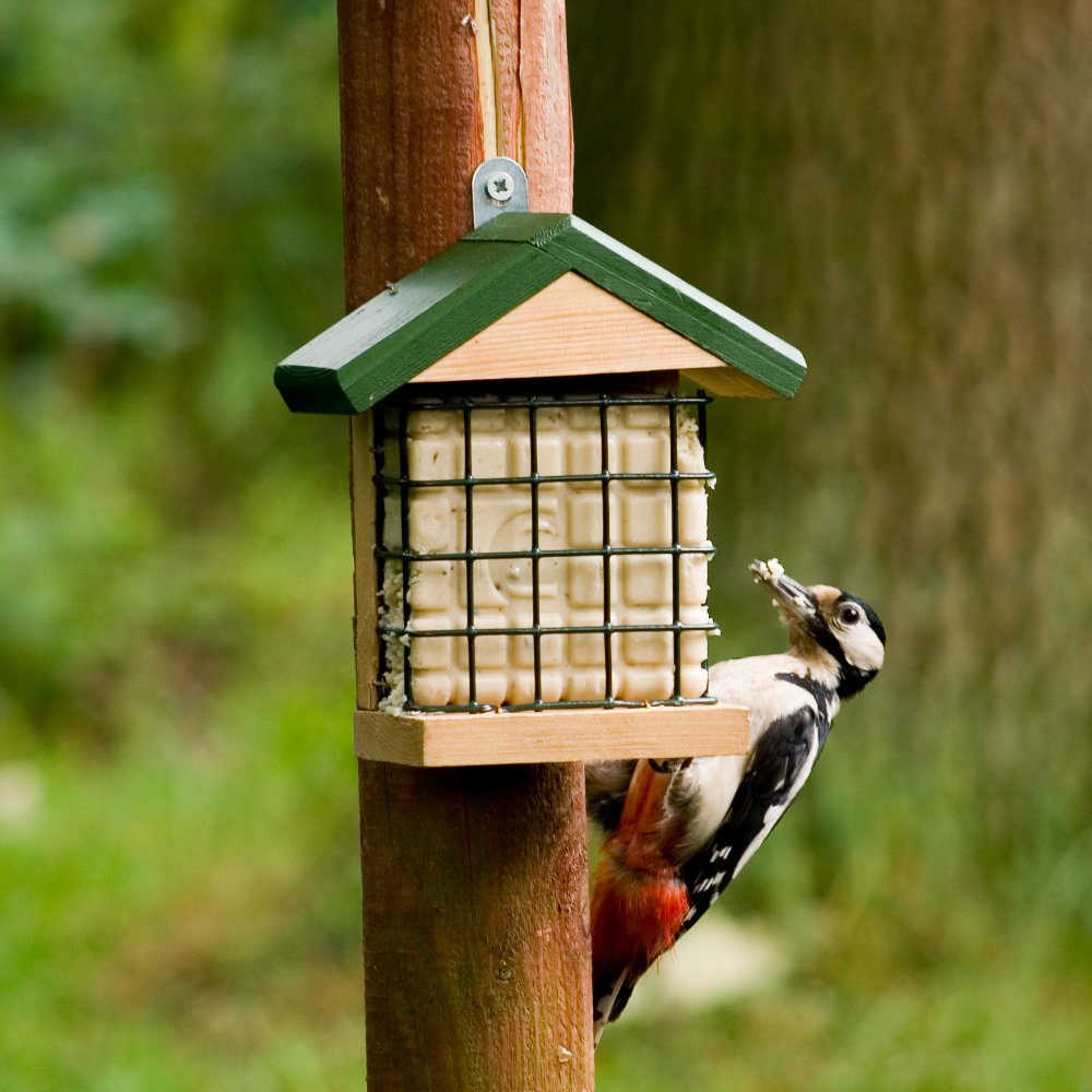 Wolga Peanut Cake Feeder