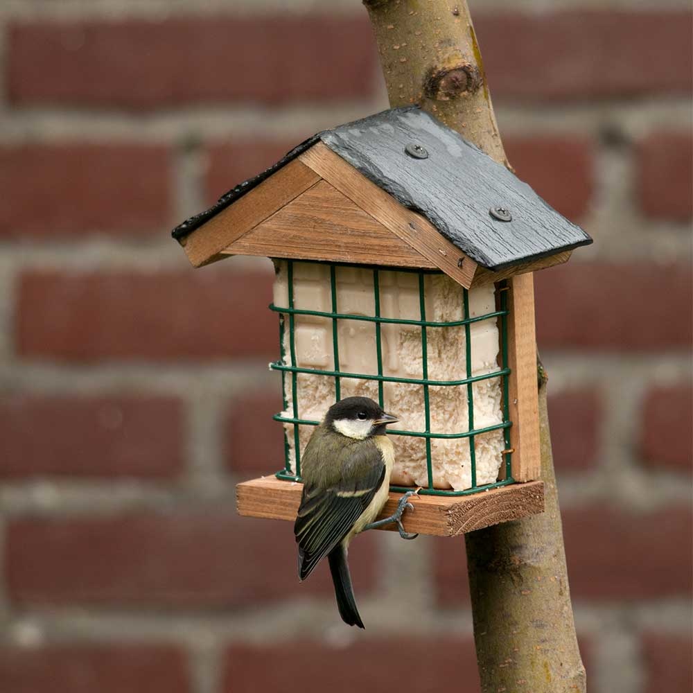 Ohio Slate Peanut Cake Square Bird Feeder