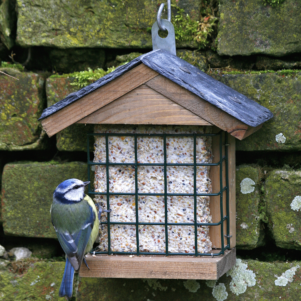 Ohio Slate Peanut Cake Square Bird Feeder