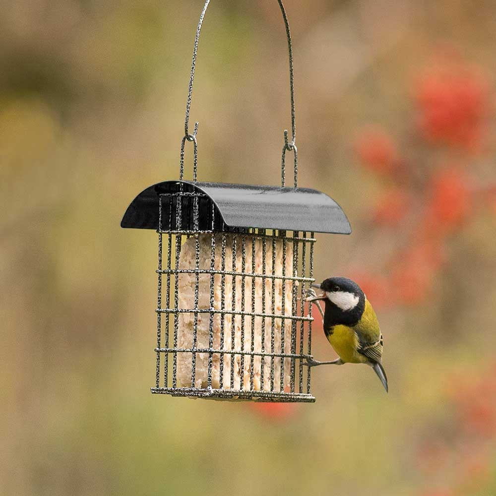 Sydney Peanut Cake Feeder - Black