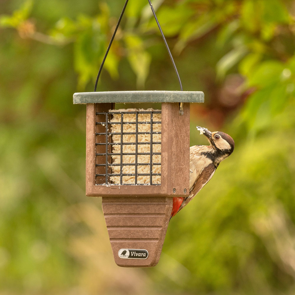 National Trust Monte Rosa Recycled Peanut Cake Feeder