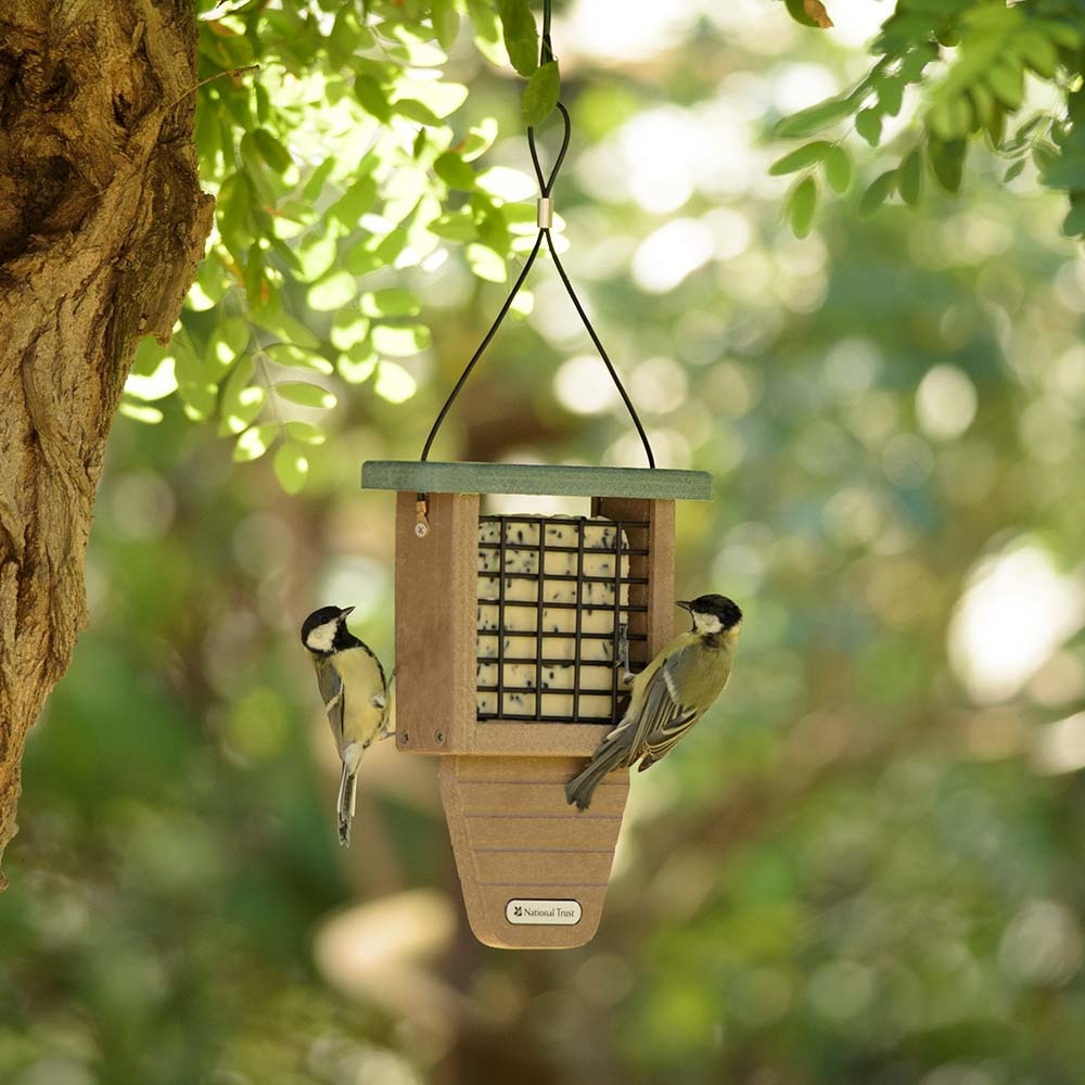 National Trust Monte Rosa Recycled Peanut Cake Feeder