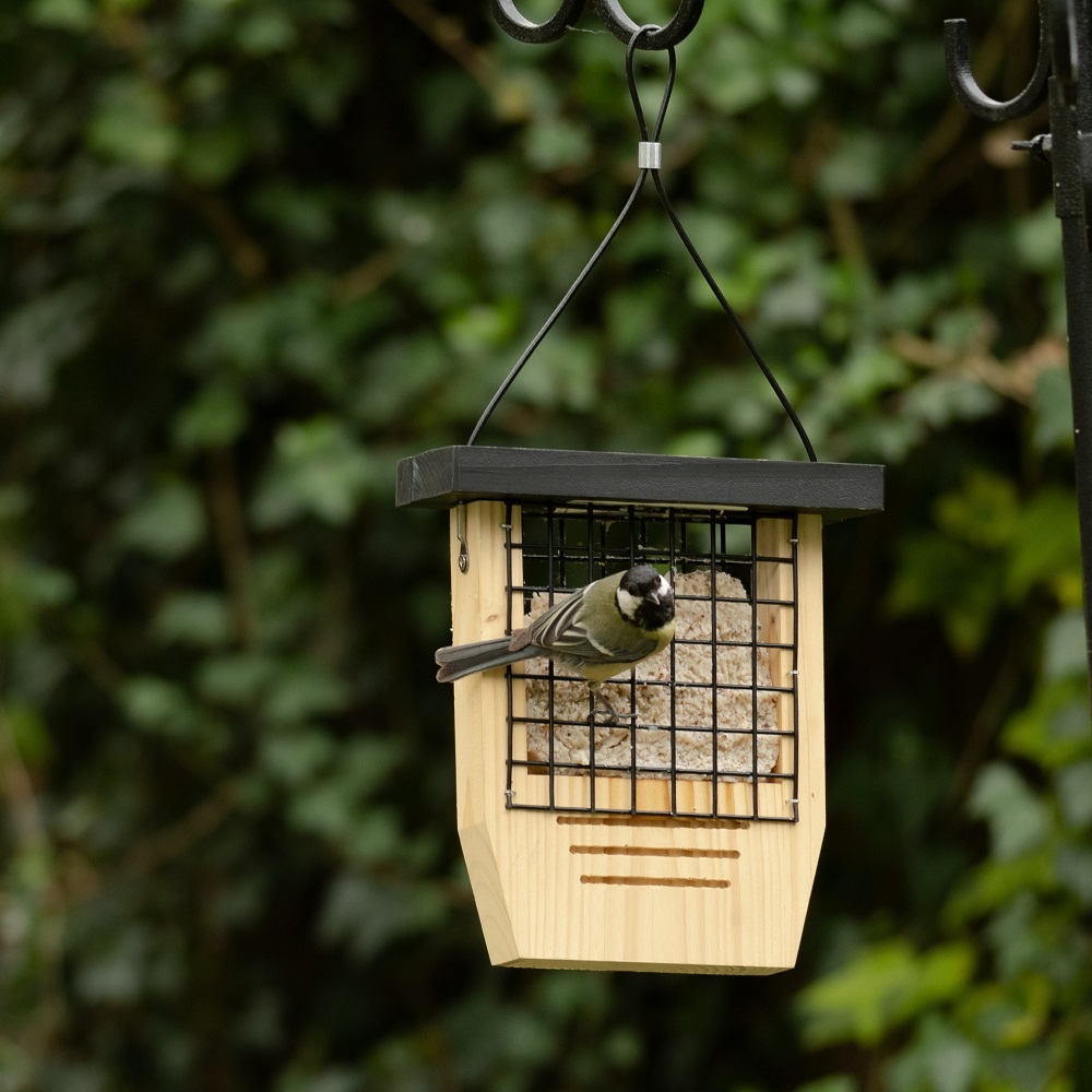 Silkeborg Cedar Peanut & Suet Cake Feeder