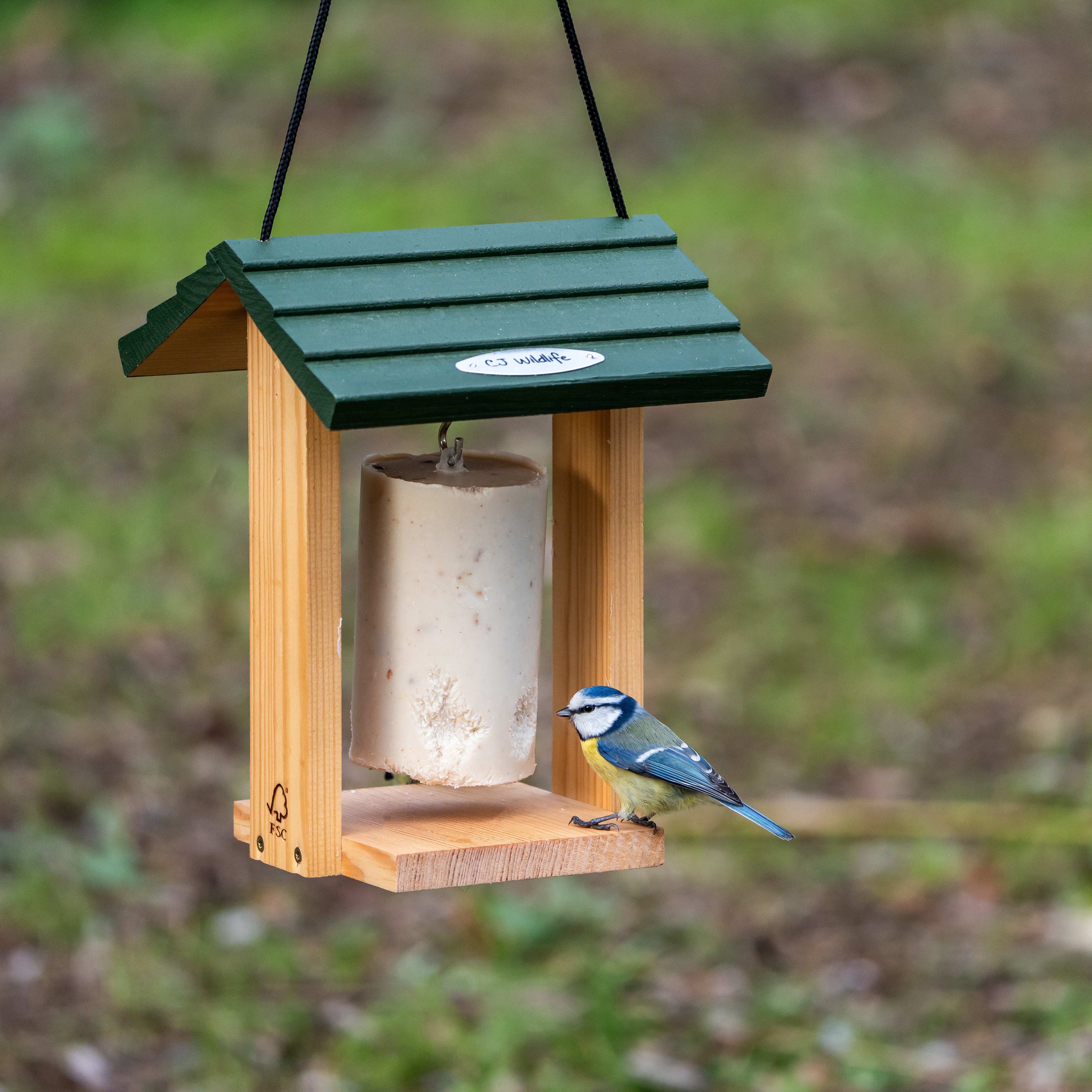 Cervina Peanut Cake Feeder