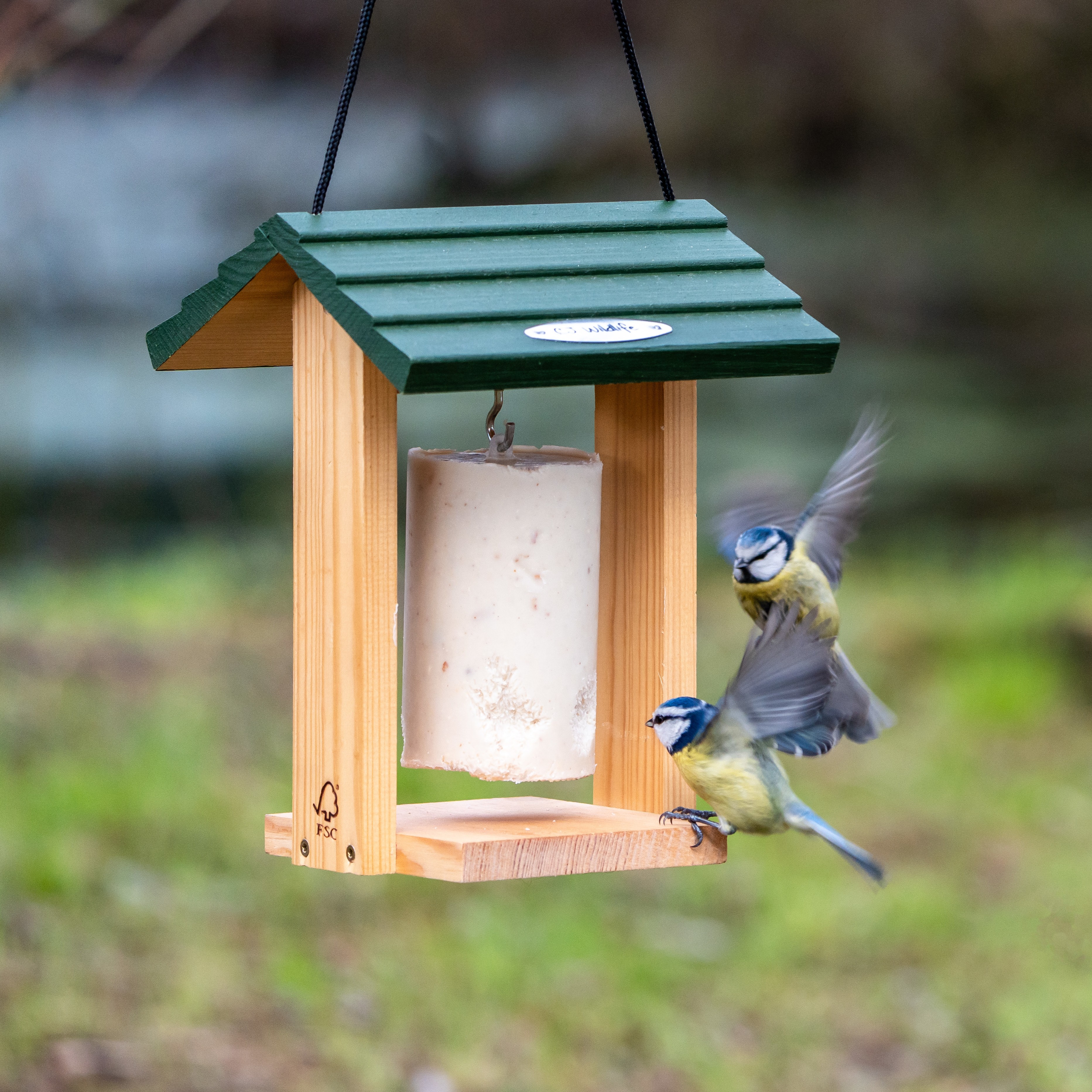 Cervina Peanut Cake Feeder