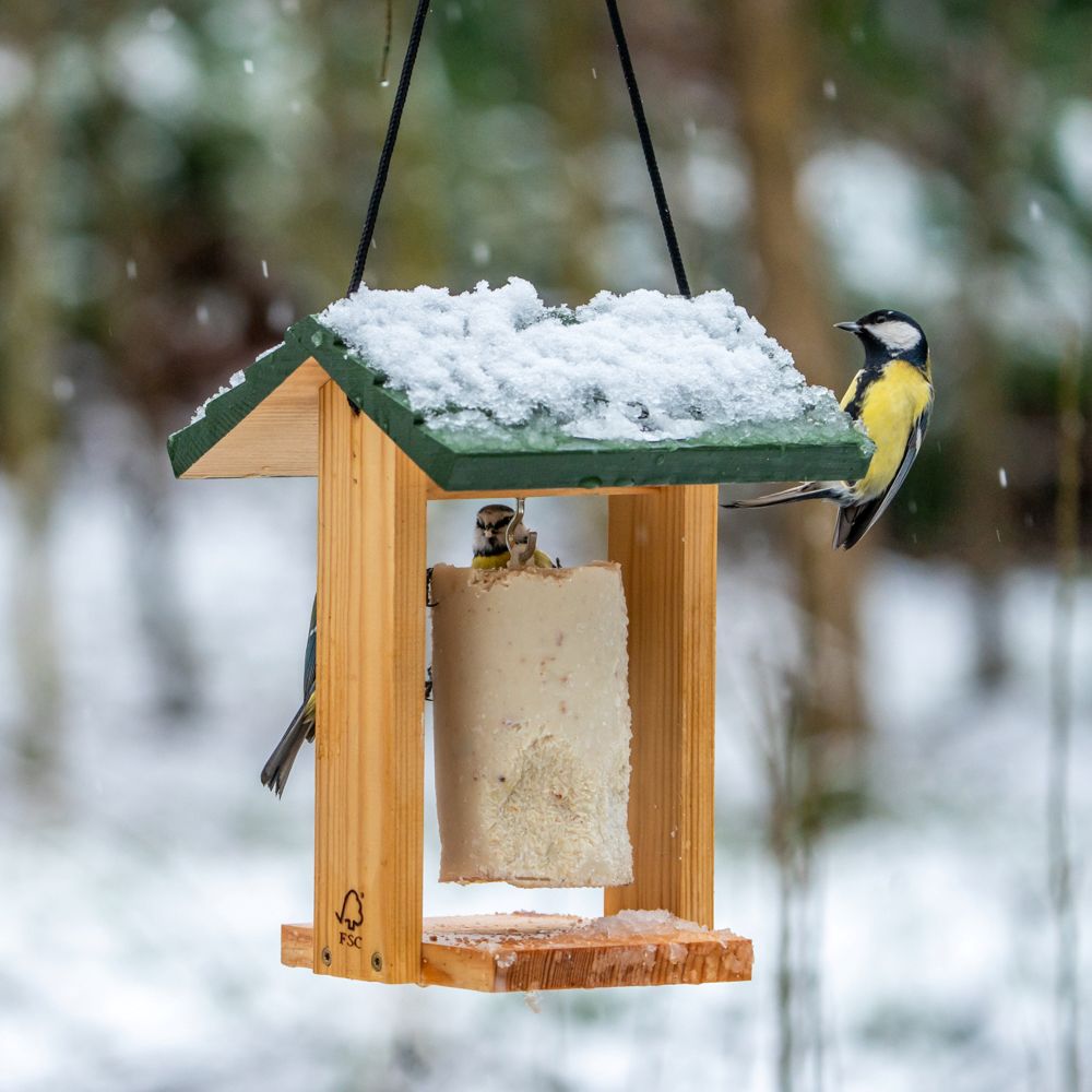 Cervina Peanut Cake Feeder