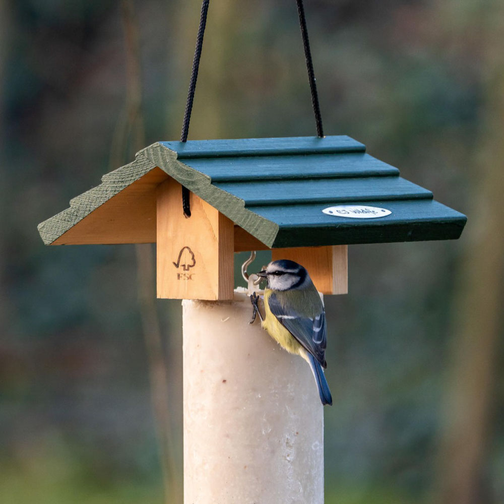 Claviere Peanut Cake Feeder 