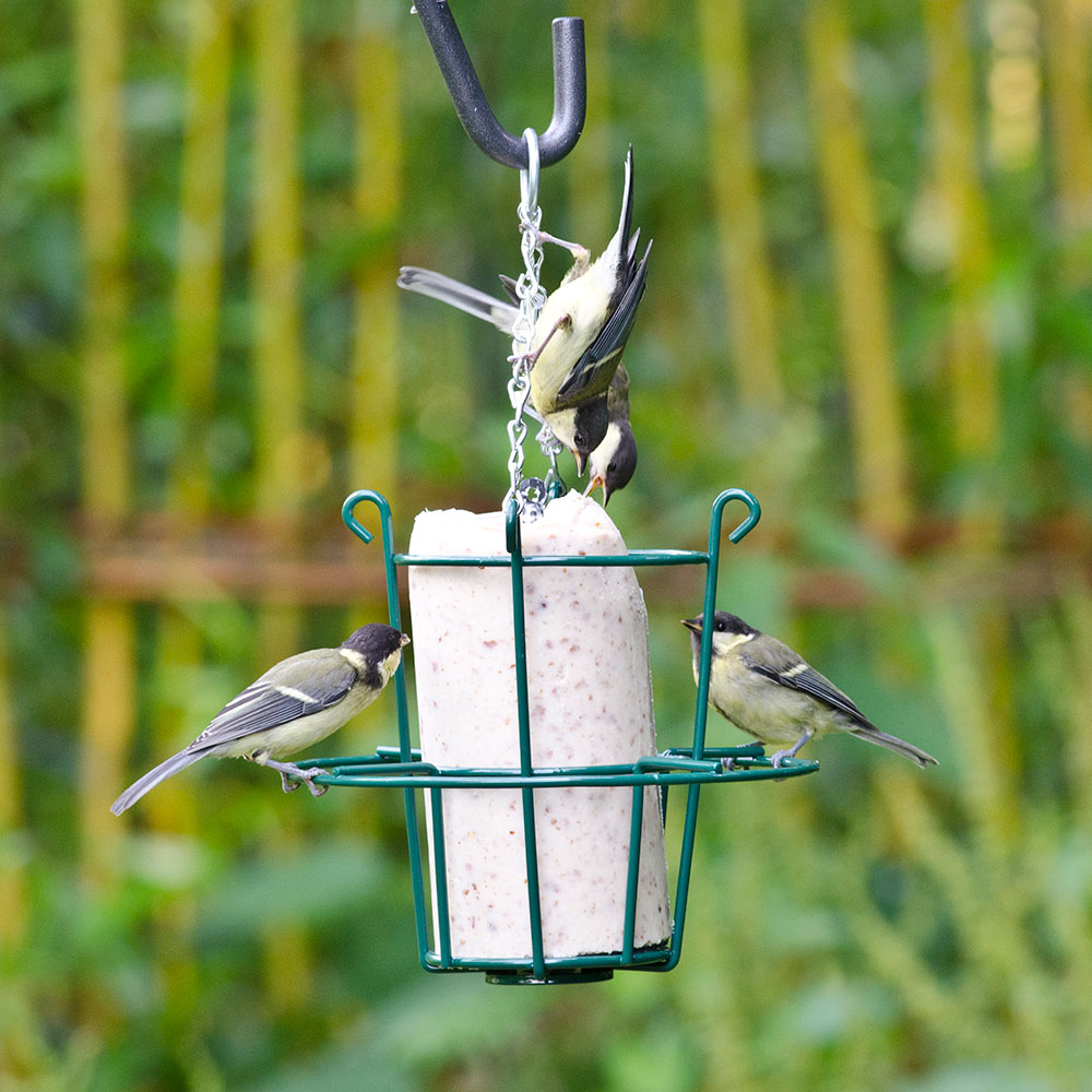 Metal Peanut Cake Feeder