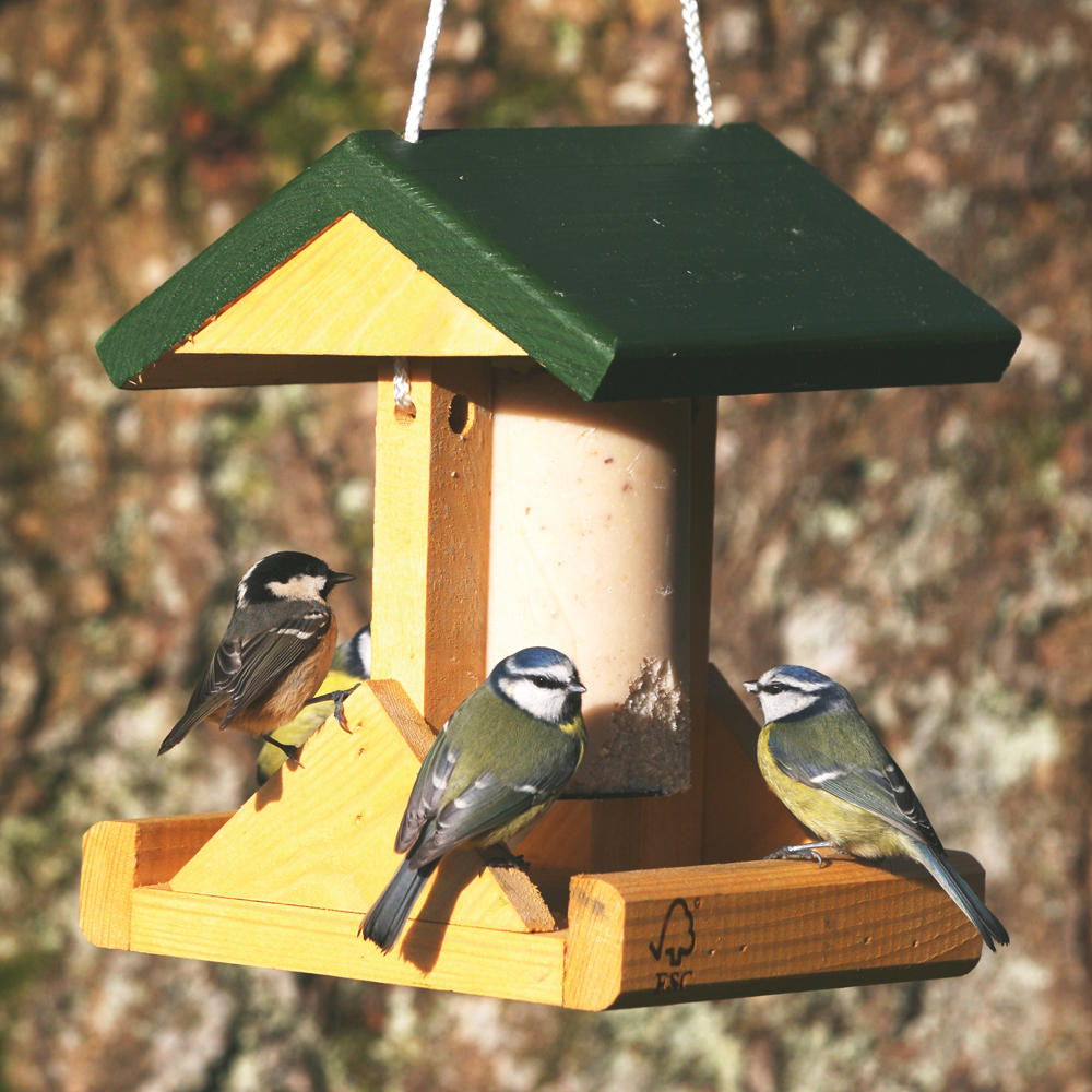 Alpine Bird Feeder