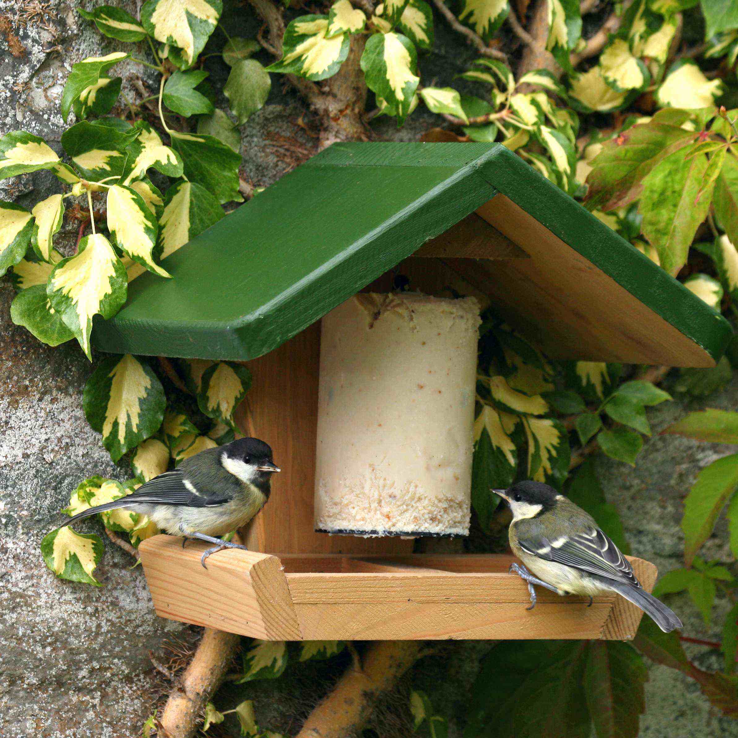 Combihouse Peanut Cake Tube Feeder