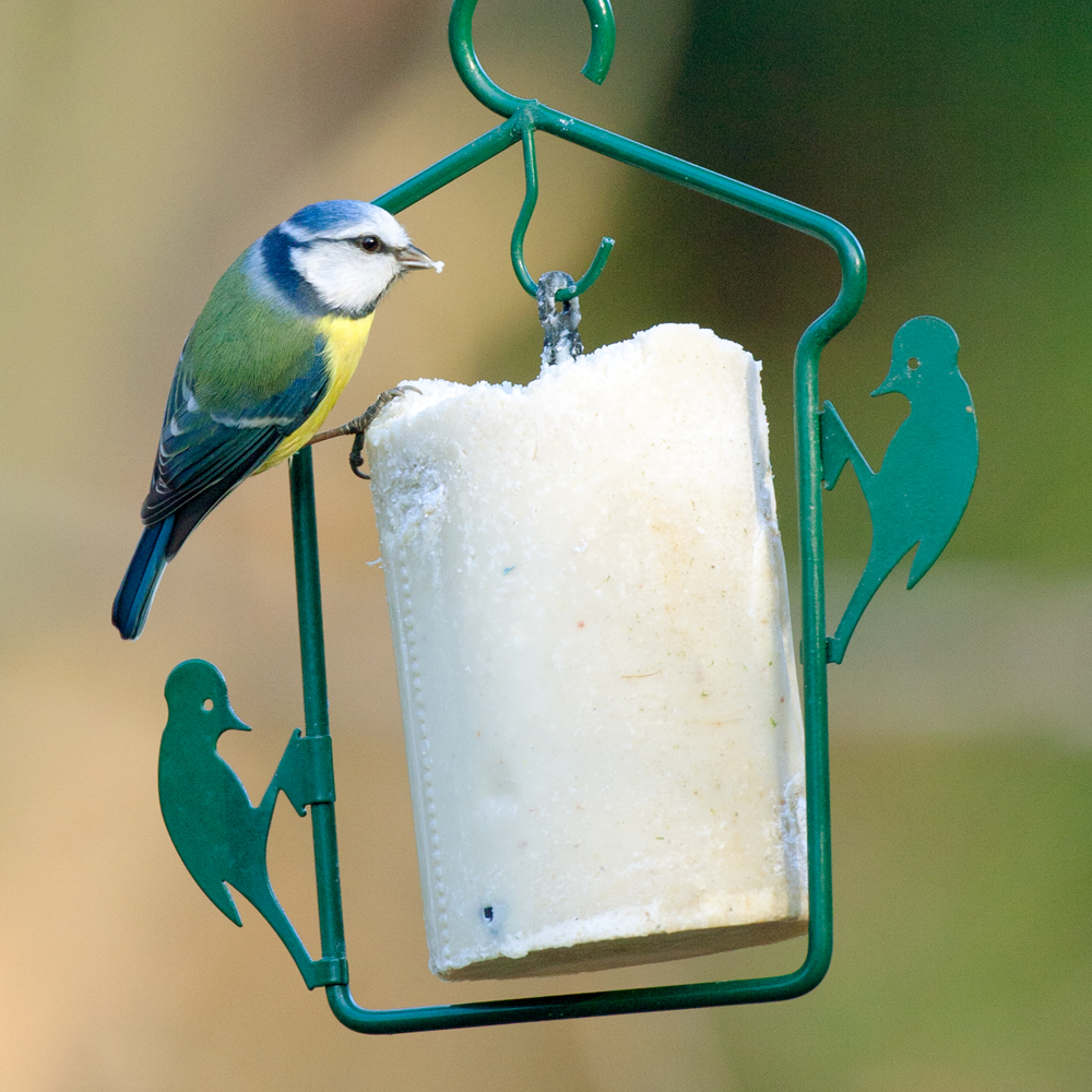 Peanut Cake Hanger Bird Feeder (500ml)