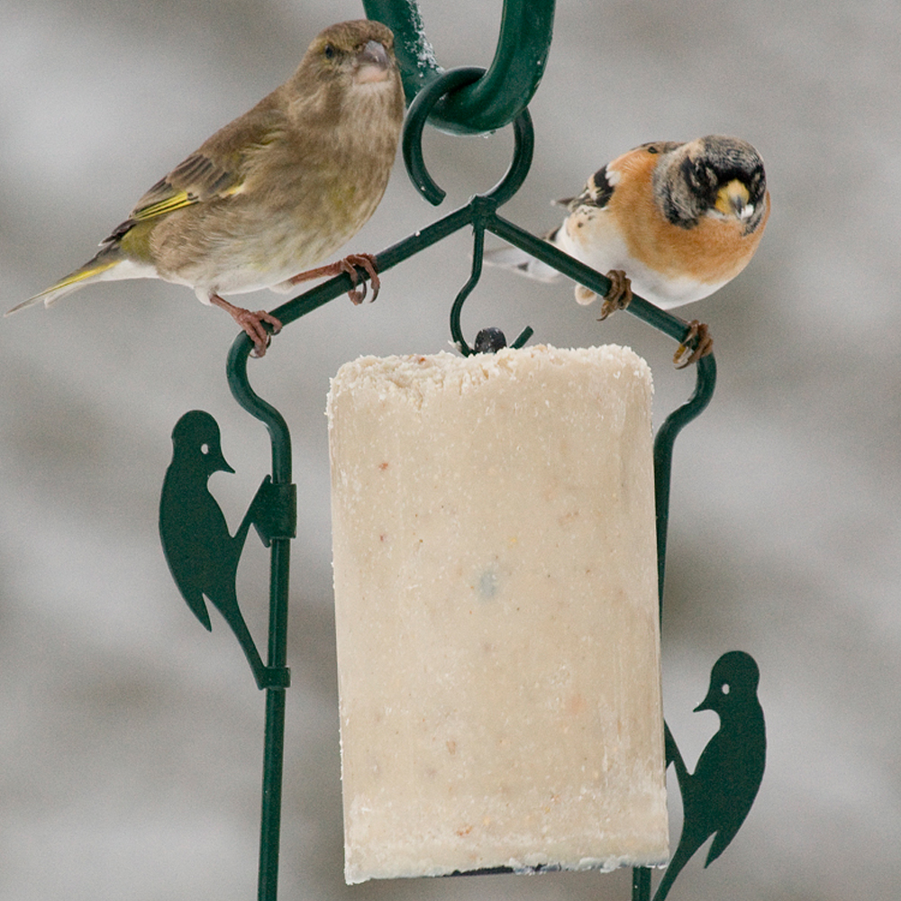 National Trust Peanut Cake Tube Hanger