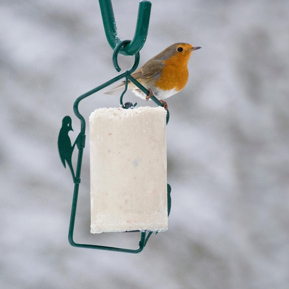 National Trust Peanut Cake Tube Hanger