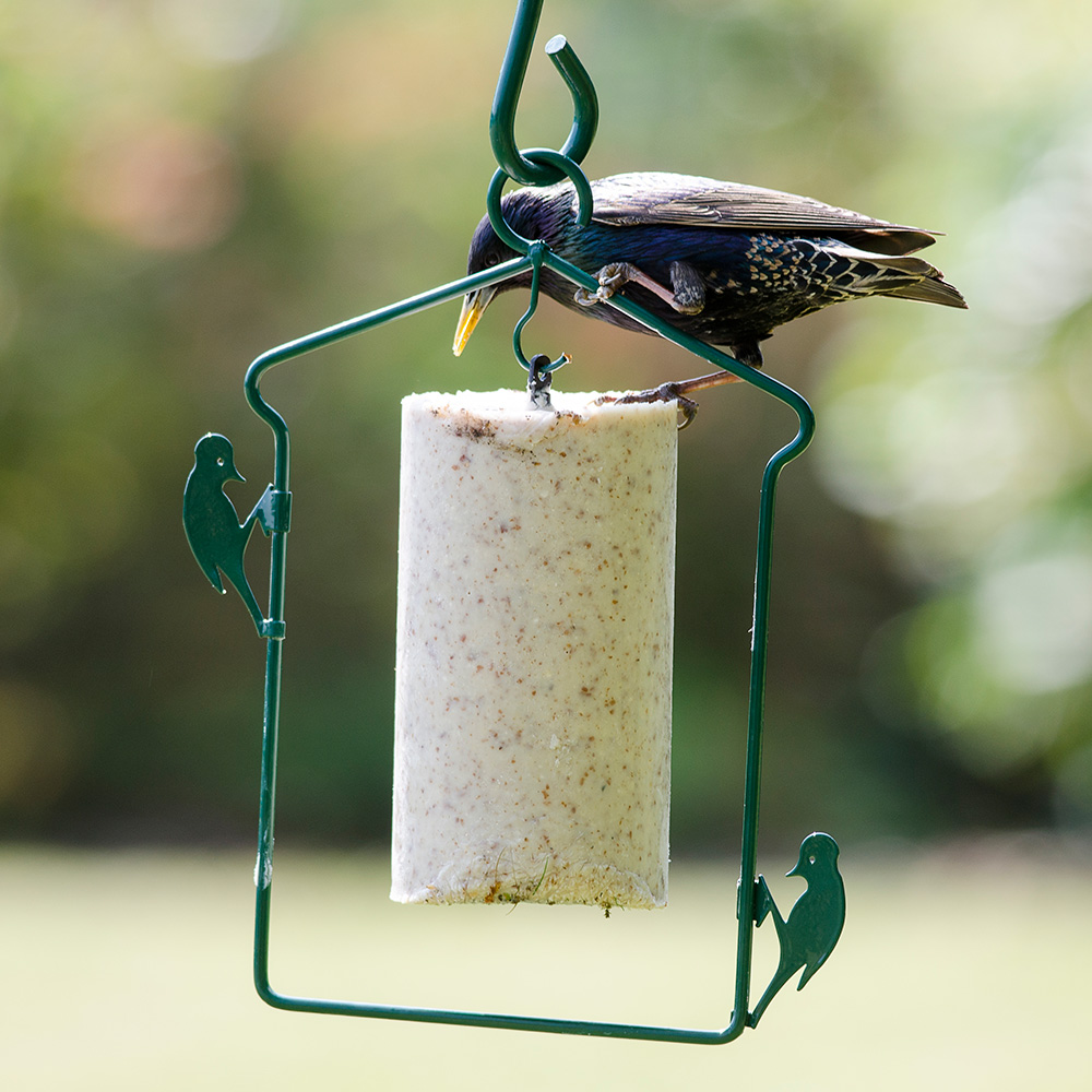 National Trust Peanut Cake Tube Hanger