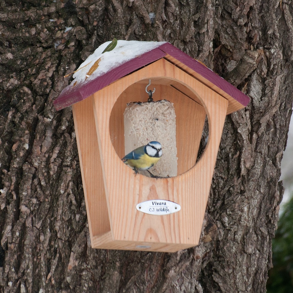 Oregon Peanut Cake Bird Feeder