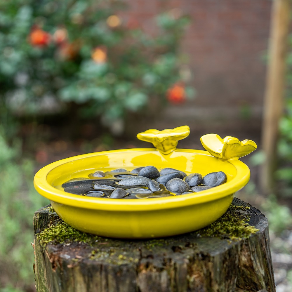 Large Bee & Butterfly Bath