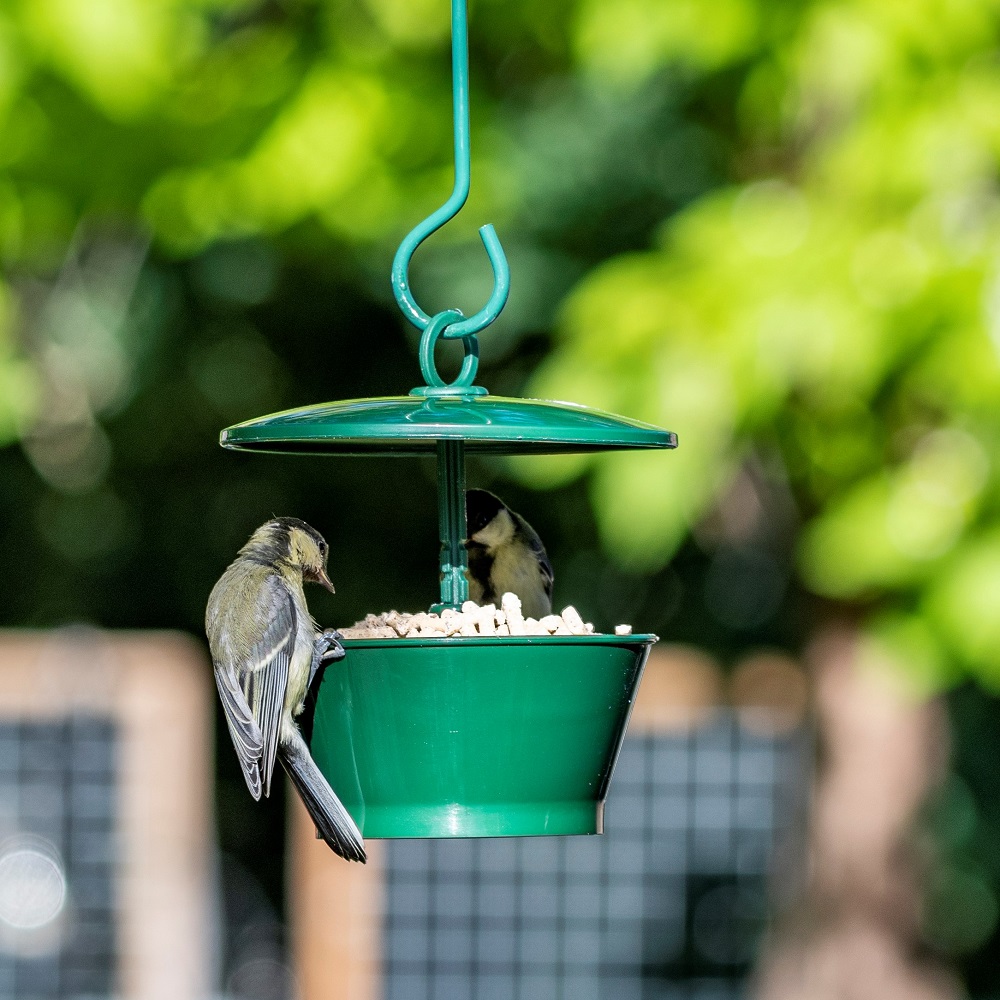 Suet Pellet & Mealworm Bird Feeder