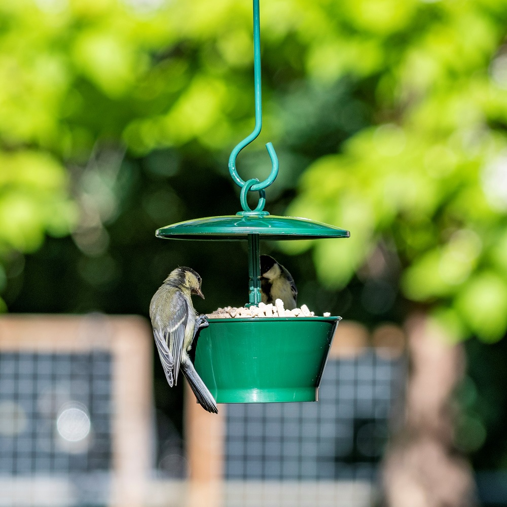 National Trust Suet Pellet & Mealworm Feeder