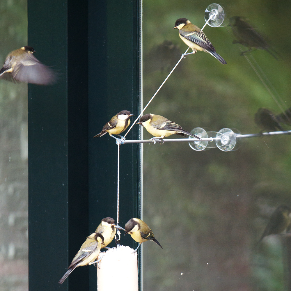 Fenster-Aufhängung „Bird Swing XXL“			