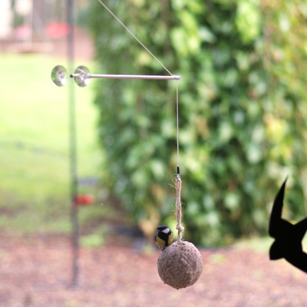 BirdSwing Window Peanut Cake Feeder